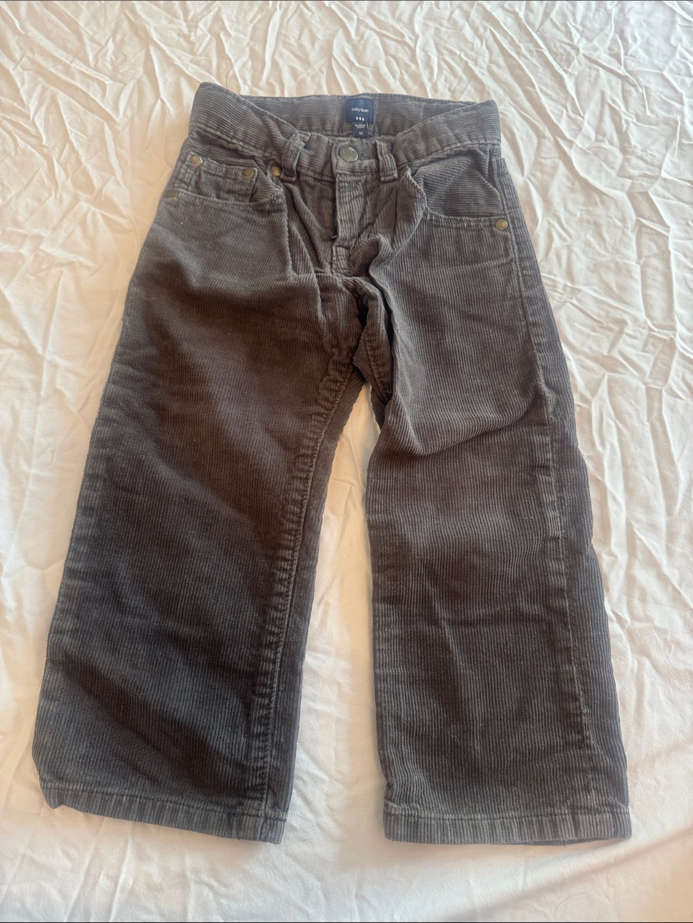 GAP Toddler Corduroy Pants in Taupe Gray